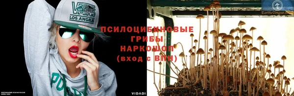 каннабис Аркадак