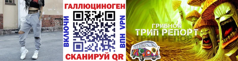 блэк спрут ссылка Городище Псилоцибиновые грибы мухоморы